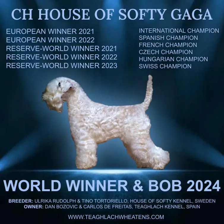 Advert Gaga Teaghlach 2024