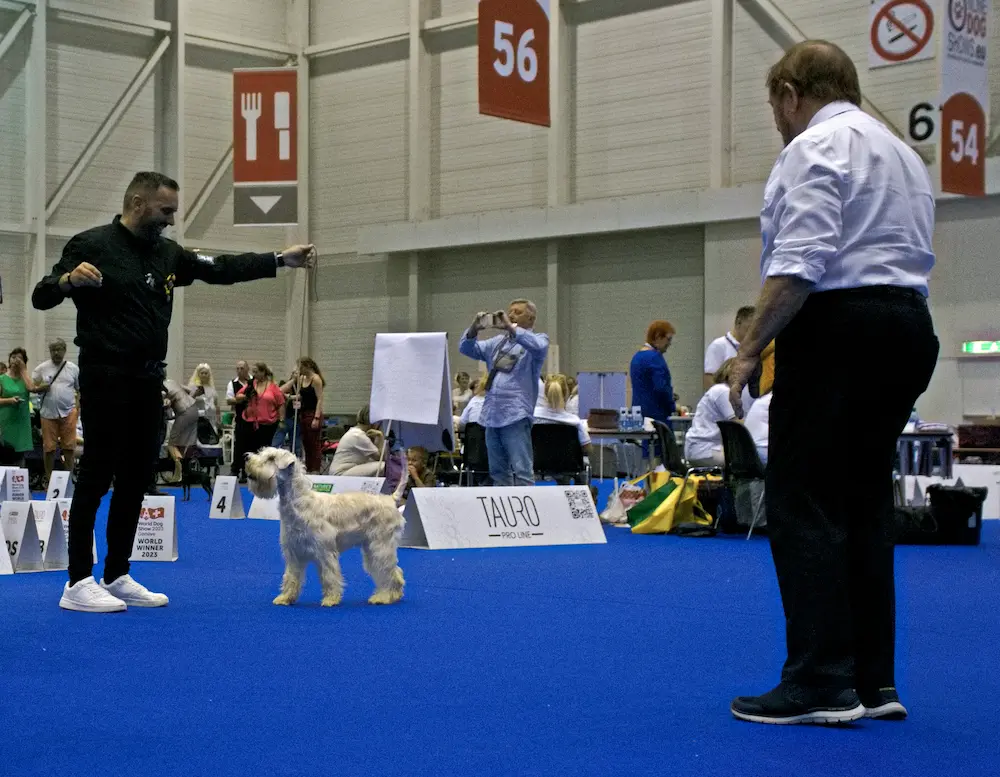 World Dog Show Geneva 2023 Switzerland ISCWT AMAZONAS 1