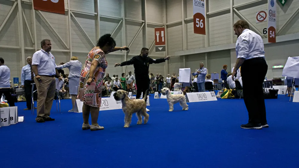 World Dog Show Geneva 2023 Switzerland ISCWT AMAZONAS