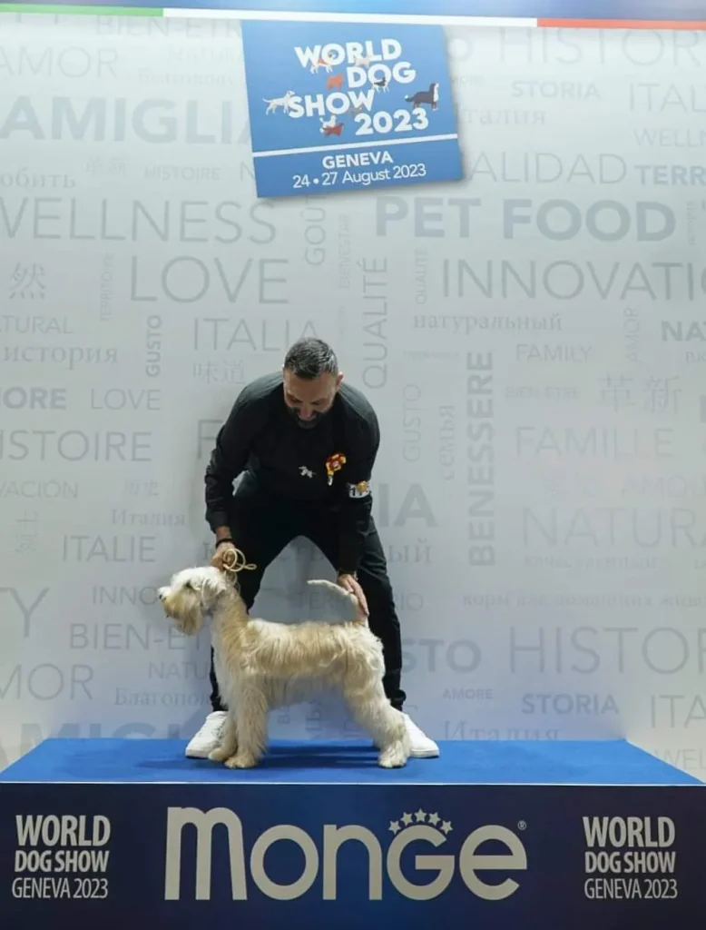 WDS Gran Prix Geneve IDS 2023. Switzerland ISCWT AMAZONAS