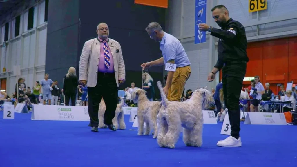 WDS Gran Prix Geneve IDS 2023. Switzerland ISCWT GAGA