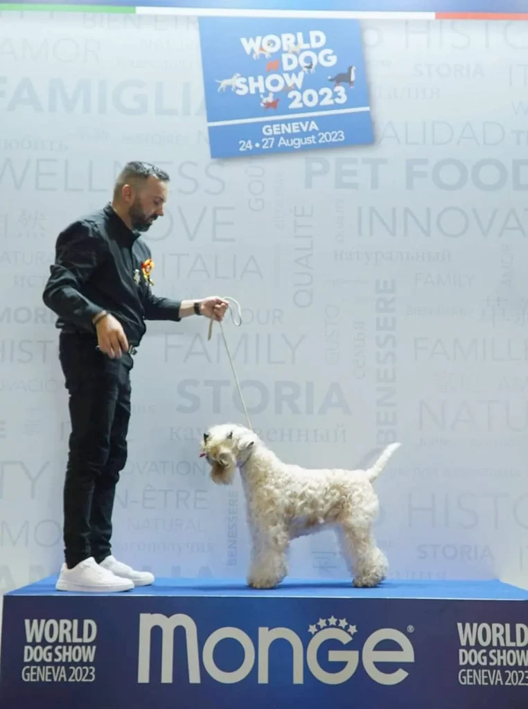 WDS Gran Prix Geneve IDS 2023. Switzerland ISCWT GAGA
