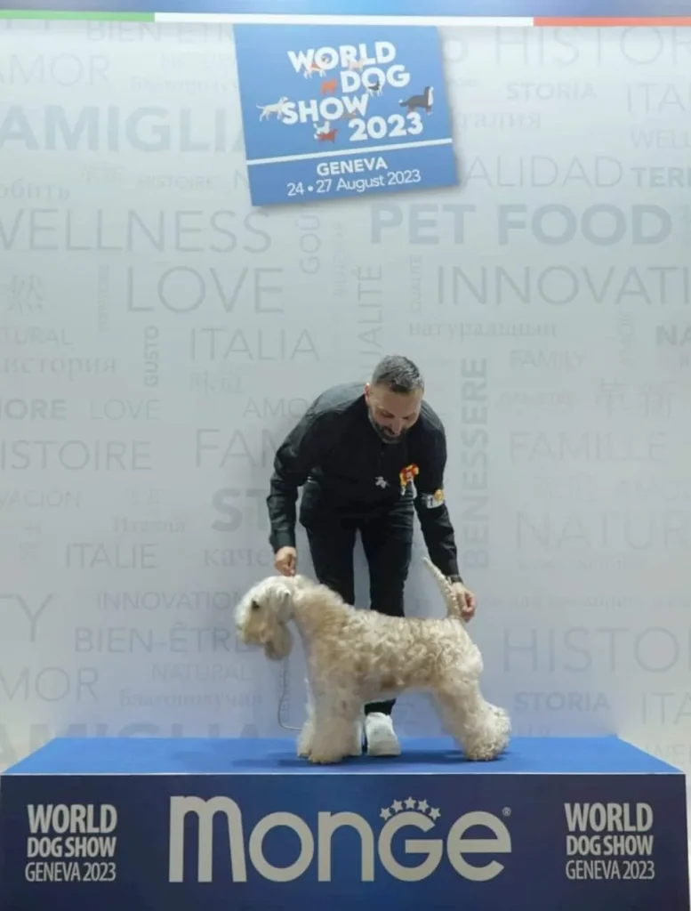 WDS Gran Prix Geneve IDS 2023. Switzerland ISCWT GAGA
