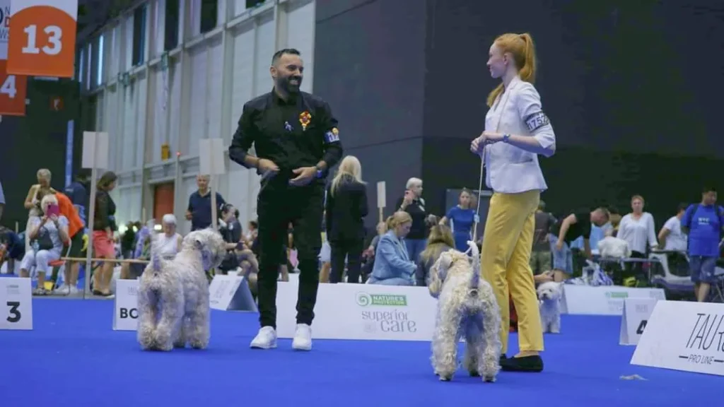 WDS Gran Prix Geneve IDS 2023. Switzerland ISCWT GAGA