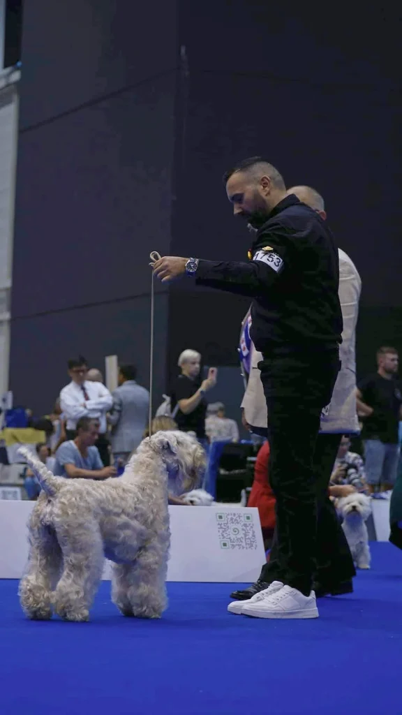 WDS Gran Prix Geneve IDS 2023. Switzerland ISCWT GAGA