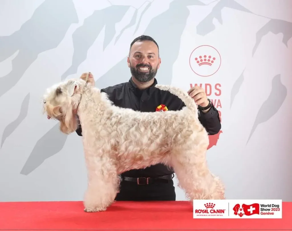 WDS Gran Prix Geneve IDS 2023. Switzerland ISCWT GAGA