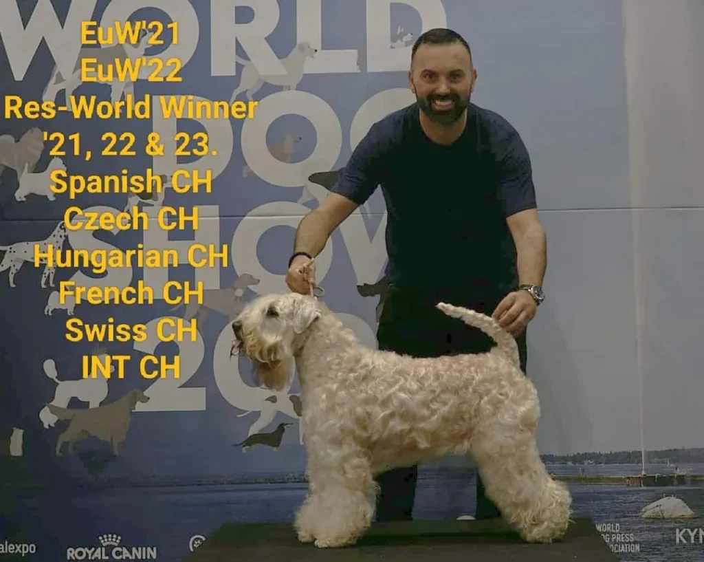 WDS Gran Prix Geneve IDS 2023. Switzerland ISCWT GAGA