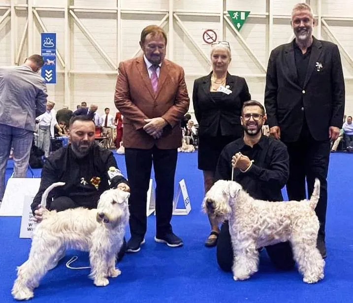 World Dog Show Geneva 2023 Switzerland Irish Soft Coated Wheaten Terrier GAGA